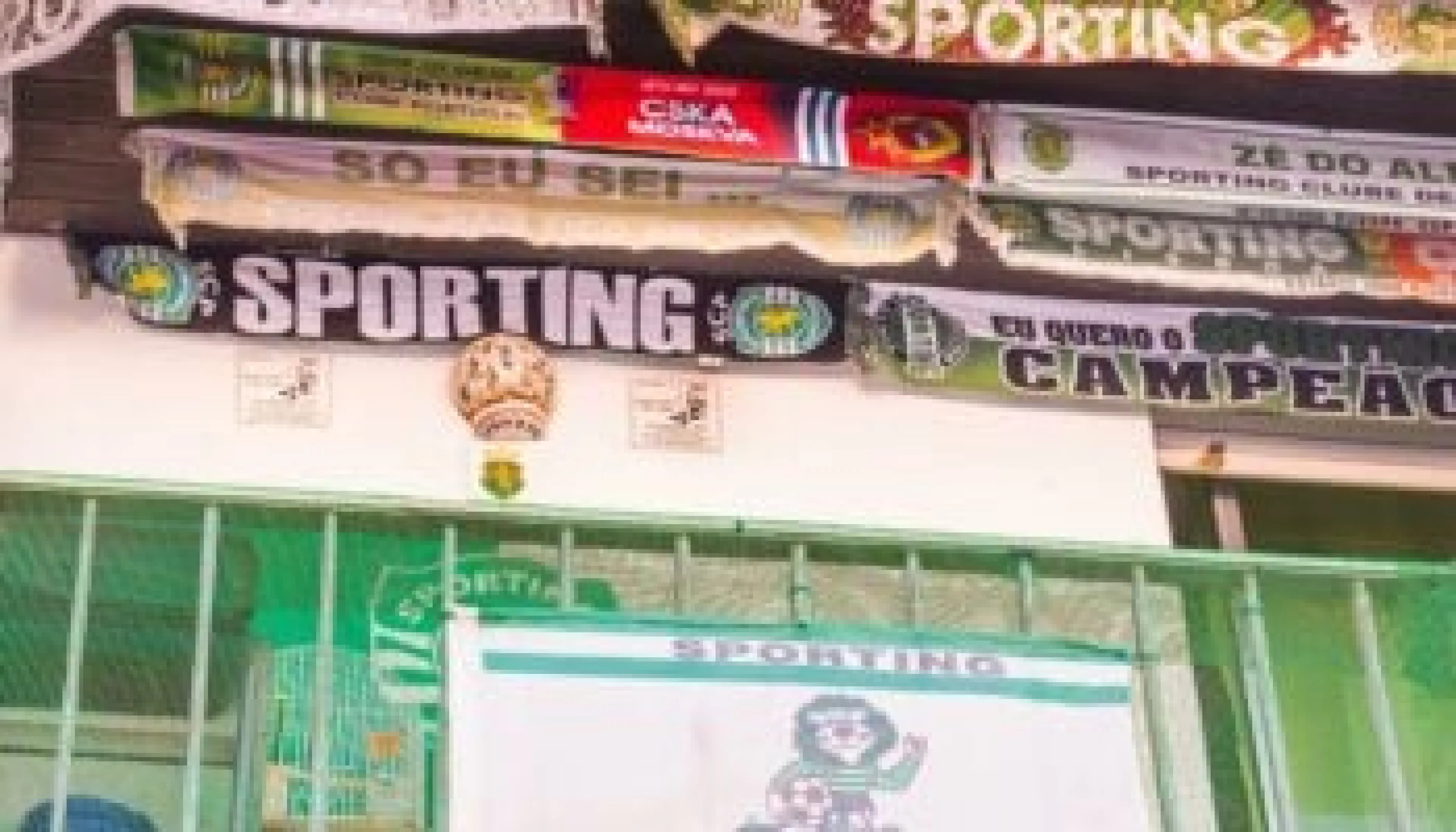 Liga Primeira vainqueur, paris sportifs