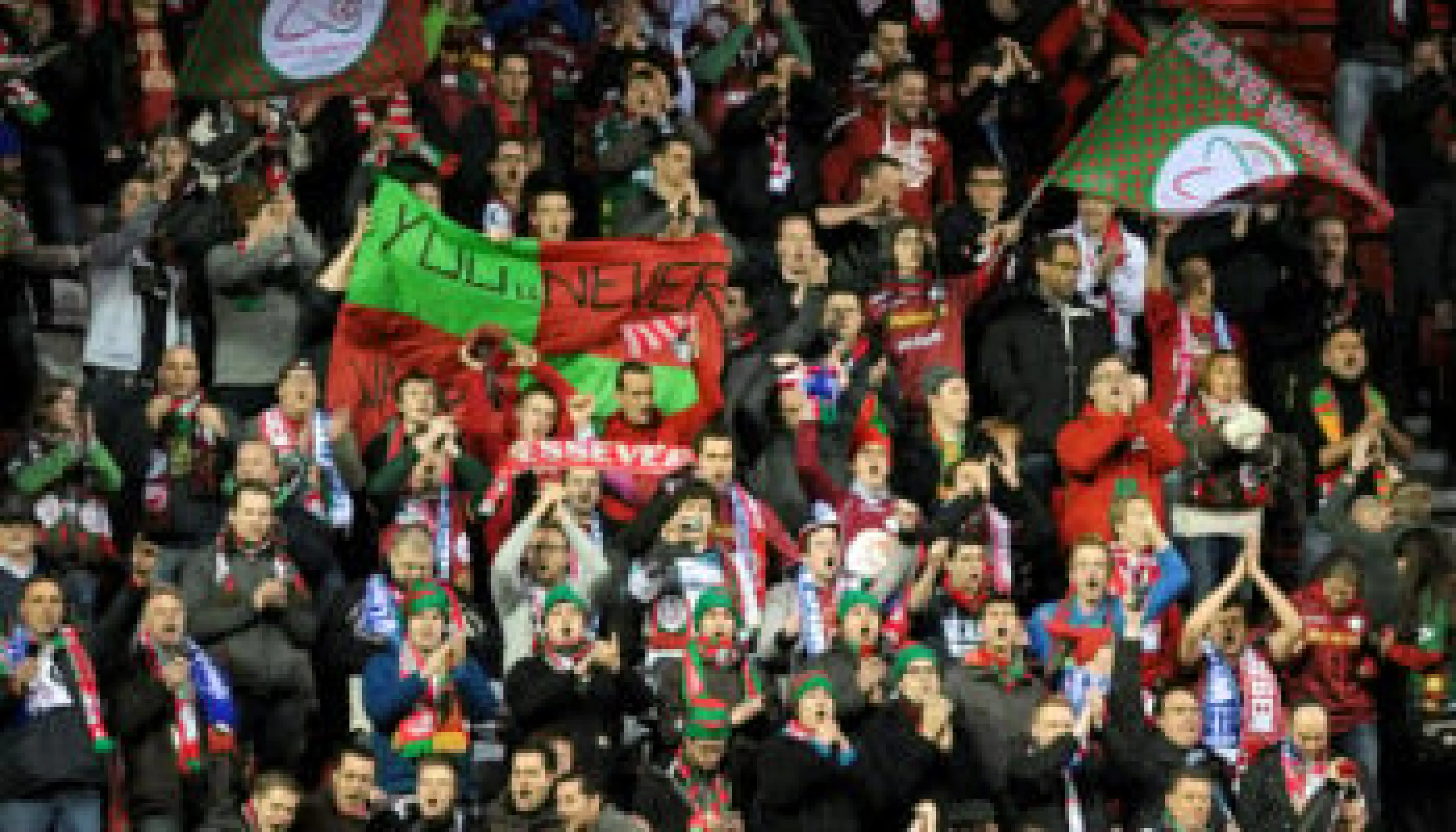 Club Bruges - Zulte Waregem pronostic et cote match | Jupiler Pro League