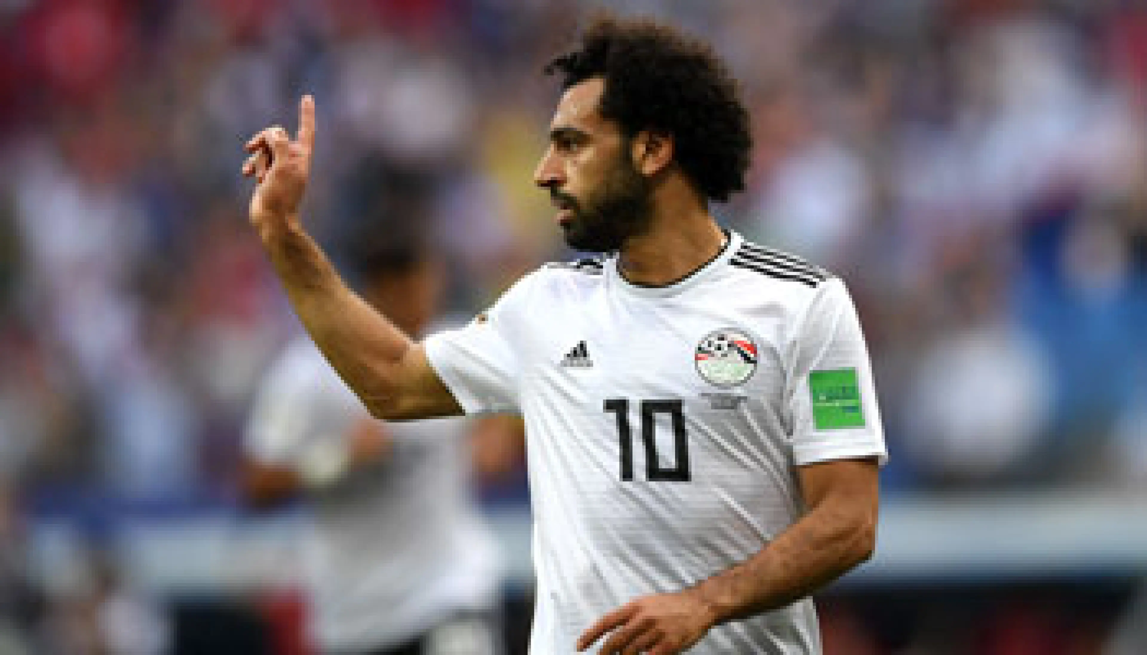 BEFR coupe afrique 2019