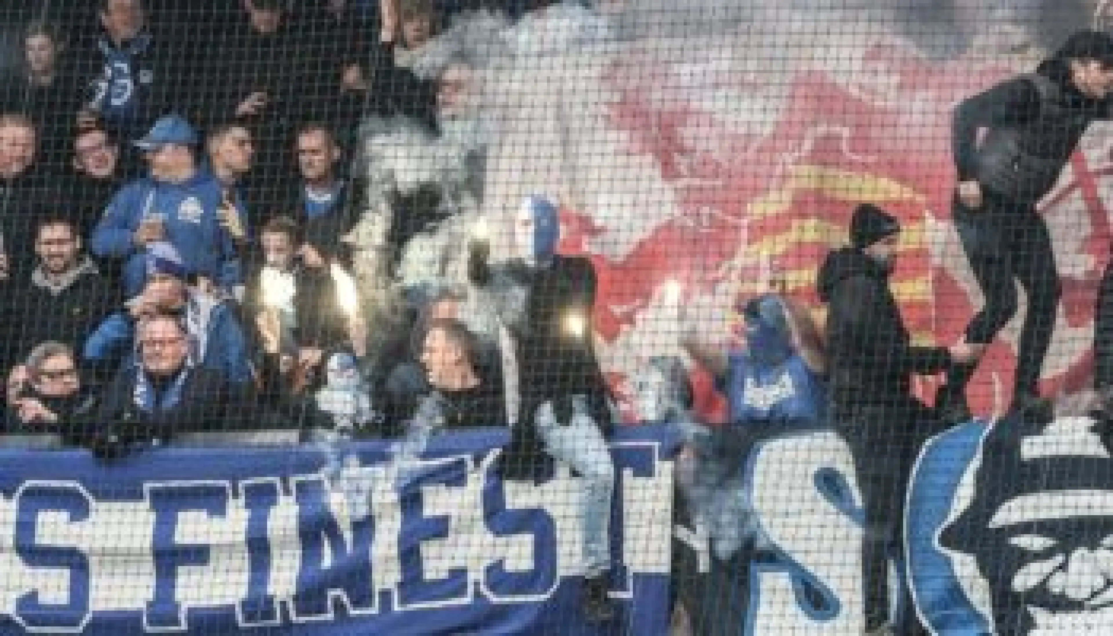 Saint-Trond vs. RSC Anderlecht, Jupiler Pro League, pronostics football