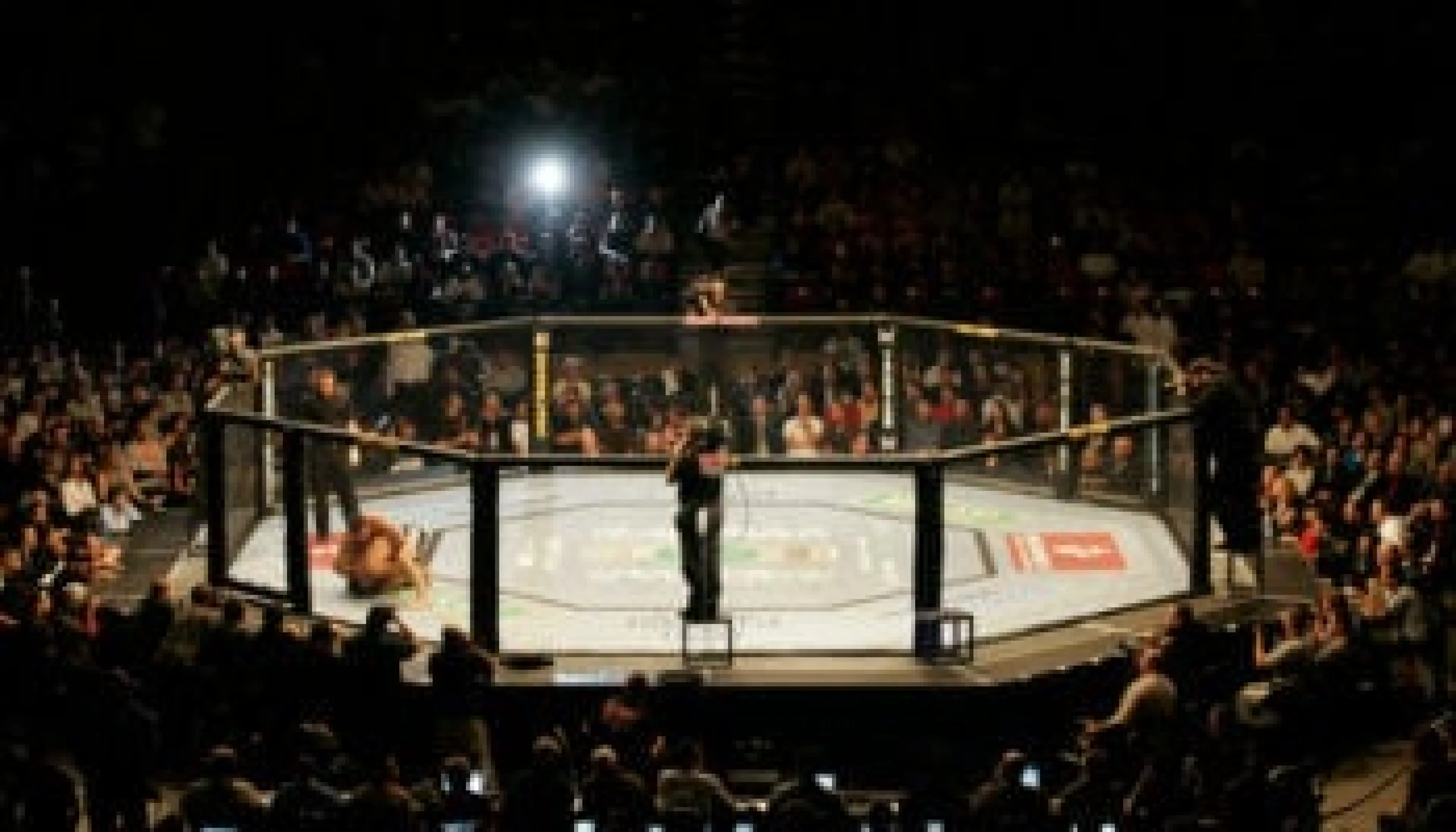 pari combat ufc mma ultimate fighting