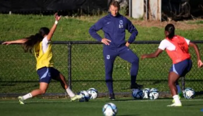 France (F) - Brésil (F), Coupe du Monde féminine