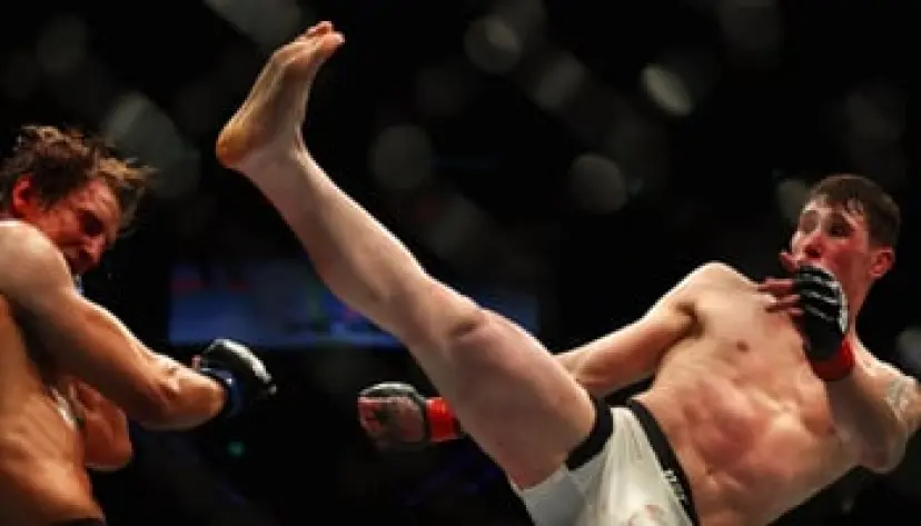 UFC Fight Night 147 : Till vs Masvidal