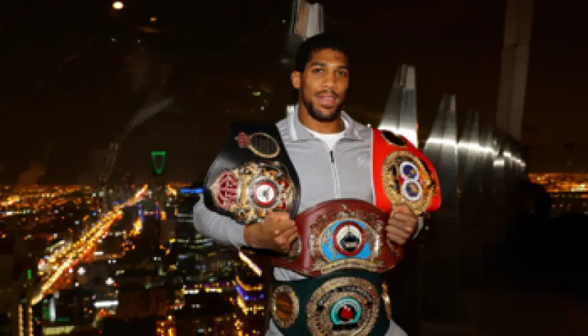 Titres mondiaux IBF, WBA, WBO & IBO poids lourds, Boxe, pronostics paris boxe