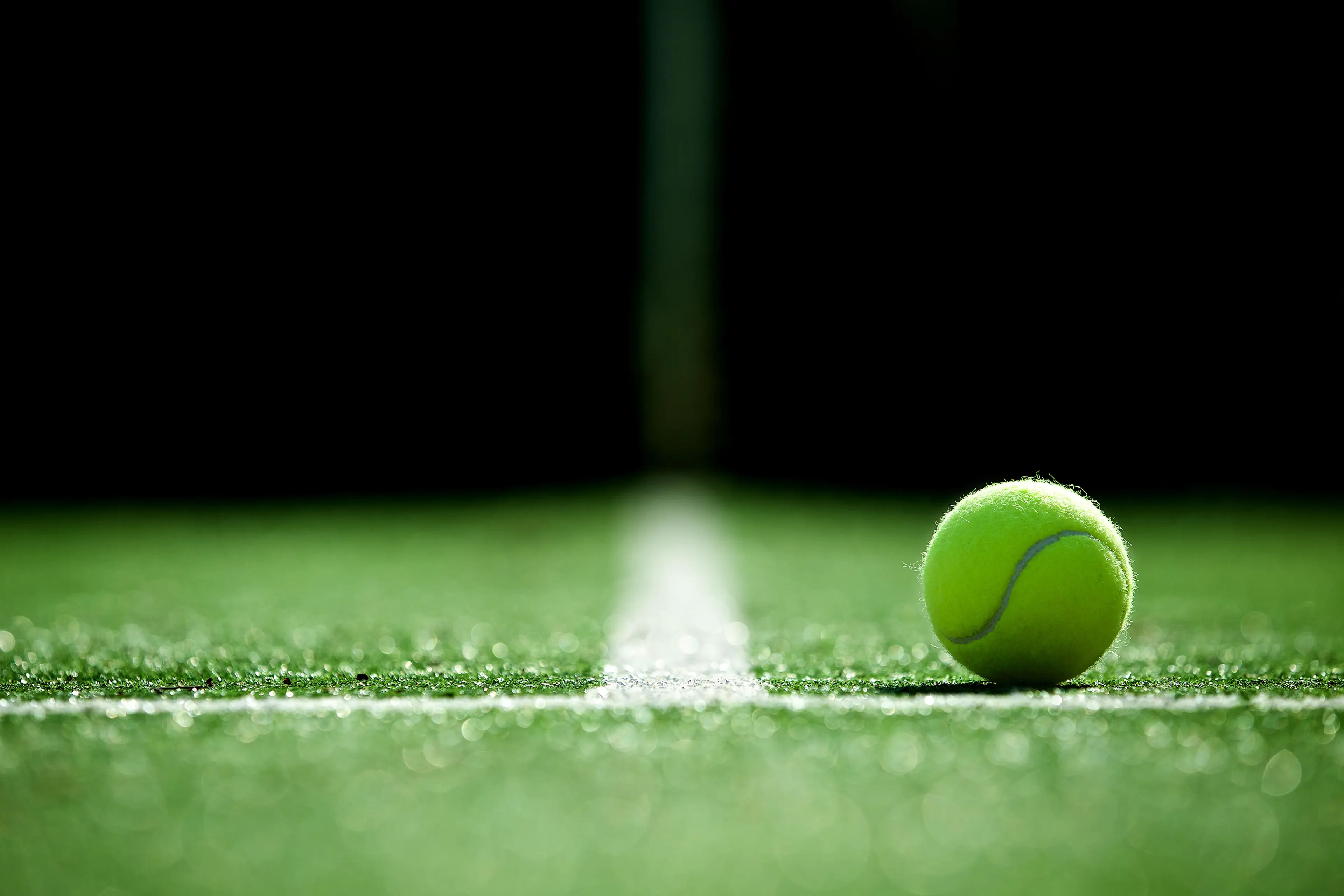 Wimbledon 2026 : tout ce qu'il faut savoir sur le tournoi du Grand Chelem à Londres