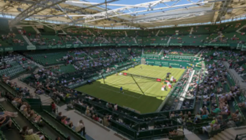ATP Halle pronostic et cote tournoi | Tennis