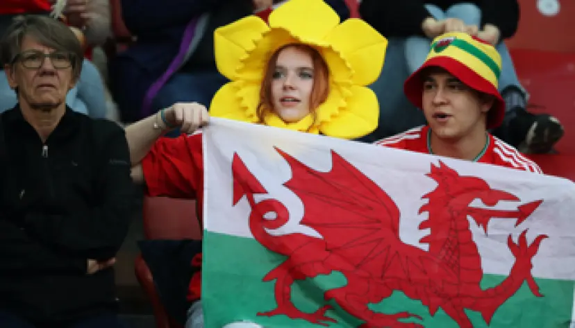 Etats-Unis vs. Pays de Galles