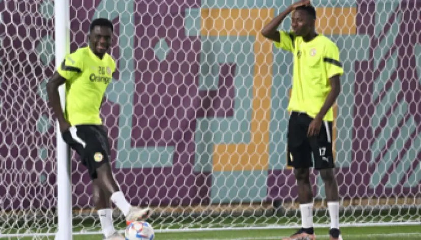 Angleterre - Sénégal cotes et pronostics match | Mondial du Qatar