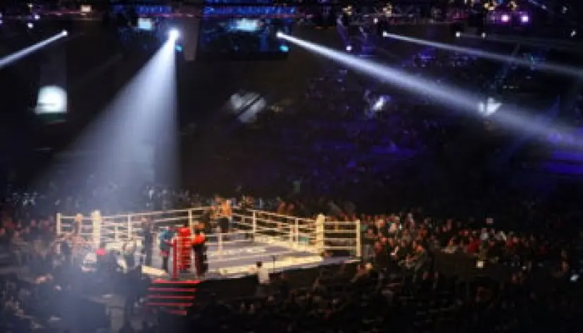 tous les coups de boxe pronostic